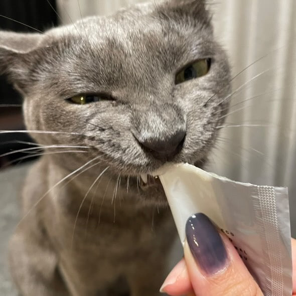 LA CHANTON/極上ナチュラルチキンペースト 7袋